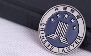 星辰党建 | 星辰党总支在贵阳市召开党员大会暨党建引领律师业务高质量发展论坛