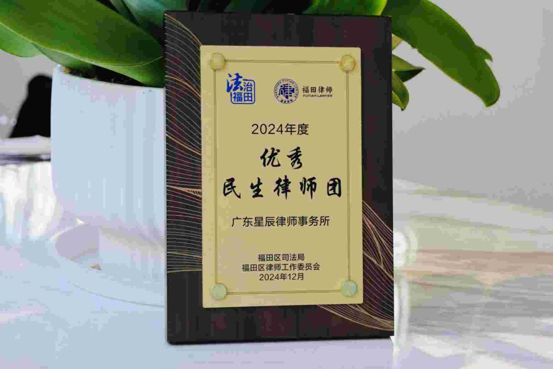 2024年优秀民生律师团